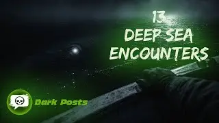 13 Sea Creature Encounters (Creepy Ocean Stories)