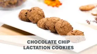 Chocolate Chip Lactation Cookies - Young Parents Recipe