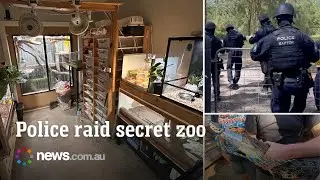 Police drug raid uncovers makeshift exotic zoo