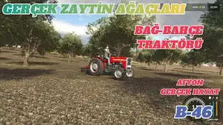 GERÇEK ZEYTİN AĞAÇLARI BAĞ BAHÇE TRAKTÖRÜ FARMİNG SİMÜLATÖR 25 AFYON GERÇEK HAYAT RAGNAR 55 #keşfet