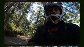 Trek Rail 7 2022 Review Tiene Fallas??