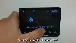 How to activate emergency credit for gas on Chameleon PPMID