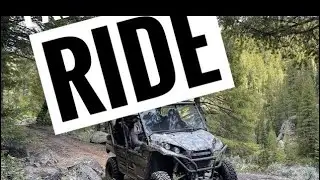 Island Park, Idaho (Buggy Ride)