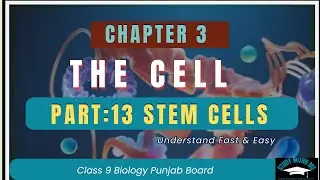 Stem Cells | Class 9 Biology | Types, Functions & Importance | Urdu Explanation