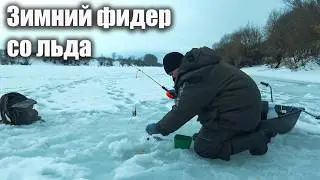 Фидер со льда. Зимняя рыбалка на реке Дон 2026