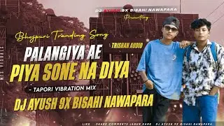 PALANGIYA AE PIYA SONE NA DIYA || MANDAR MIX || DJ AYUSH 9X BISAHI NAWAPARA