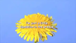 DANDELION - KILLBOY (LYRIC VIDEO)