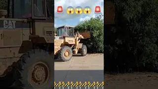 ตักต้นไม้ใหญ่ 😱😱😱 #funny #subscribe #shortsfeed #shortvideo #shortsvideo #reels #กดติดตาม #shorts