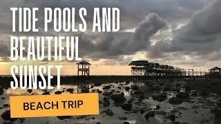 Looking For Sea Creatures in Tide Pools + Enjoying the Beautiful Sunset | Philippines Vacation 2022