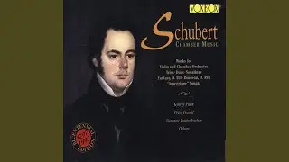Duo Sonata in A Major, Op. 162, D. 574: I. Allegro moderato