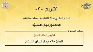 تشريح 2 | البطن 6 | جدار البطن الخلفي | د. بيان السيد