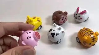 Animal pull back racer cars