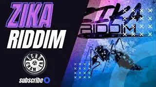 Zika Riddim Mix! | Echo Chamber