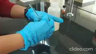 Experiment 8 suzuki reaction