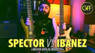 Comparando bajos: SPECTOR vs IBANEZ