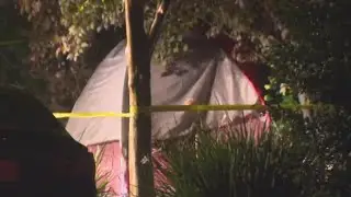 3rd stabbing in Davis leaves victim in critical condition