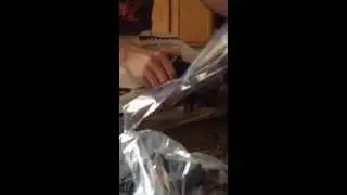 Tippmann Gryphon unbloxing-brand new! Please subscribe and like