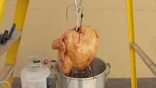 Thermal Tips to Simple Turkey in the Fryer