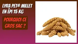 AVIS (2026) : Lyra Pet® Millet en Épi 15 kg. DÉTAILS