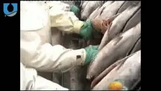 Uni-Food Technic U1 og U2