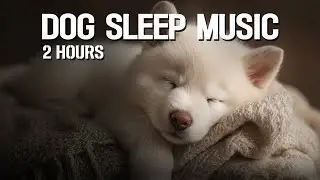 Dog Sleep Music | Calm & Safe Sound for Night