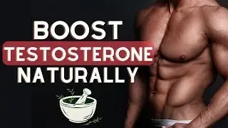 Increase TESTOSTERONE NATURALLY at HOME