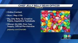 Want free jelly beans for a year? Jelly Belly searches for its 'Chief Bean Officer'