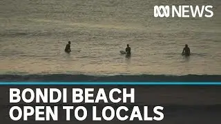 Bondi Beach re-opens after closing due to COVID-19 restrictions | ABC News
