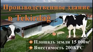 Производственное здание в Текирда. Инвестиции в животноводческий сектор I Ruento Group Выпуск #7