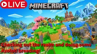 Mining and Crafting because thats what gamers do!