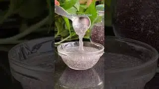 GINGER CHIA SEEDS DRINK🫚🥫