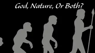 Theological Responses To Evolution