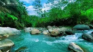 River Sounds for Sleeping Peacefully | Continuous Natural Water Flow 24/7
