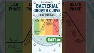 General Microbiology topic bacterial growth curve. Explained in less than 2 mins #microbiology #mbbs