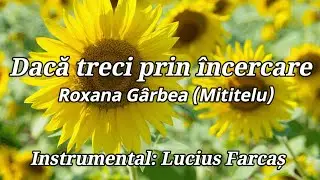 Roxana G&acirc;rbea (Mititelu) - Dacă treci prin &icirc;ncercare