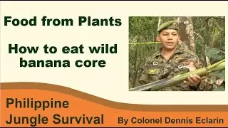 How to eat wild banana core for eating (Jungle Survival, Philippine Plants)