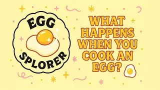 What Happens When You Cook an Egg? 🍳 | Kids&rsquo; Food Discovery Club