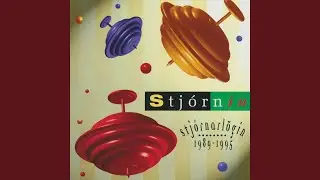 Vi&eth; eigum samlei&eth;