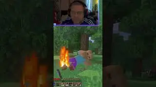 Minecraft Chaos: Spider, Zombies, and Monster Mayhem! #shorts