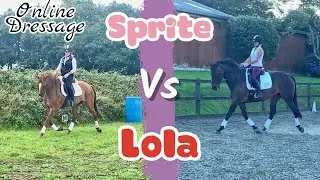 ONLINE DRESSAGE - SPRITE VS LOLA - EMD EVENTING