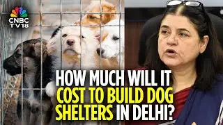 SC Order On Stray Dogs:Maneka Gandhi Breaks Down The Cost Involved In Building Dog Shelters In Delhi