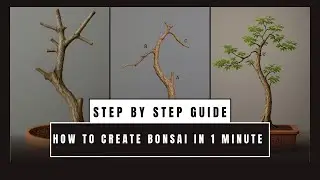 Bonsai Releaf, Beginner&rsquo;s Guide: Shaping a Bonsai Tree from Raw Material !
