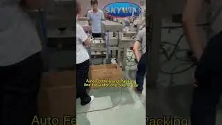 Skywin Auto Feeding and Packing Line for Wafer #biscuit #pack #packagingmachine #wafer #automatic