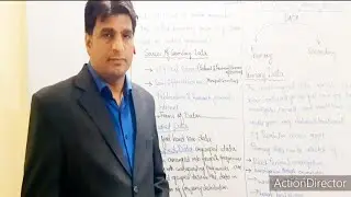 Primary Data and Secondary Data
