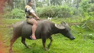 Riding again