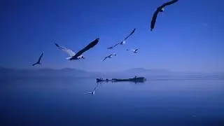 قصة شهيد ...الشيخ محمد سبيتي