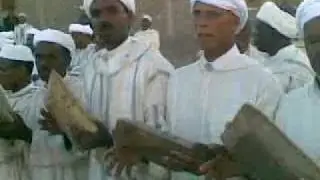 folklore wedding ceremony tamgroute: zagora