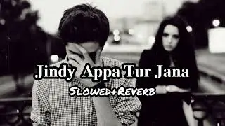 Latest Punjabi Song||Jindy Appa Tur Jana Pal Rah Gaye Ny Thory|| Rahat Fateh Ali Khan||Slowed+Reverb