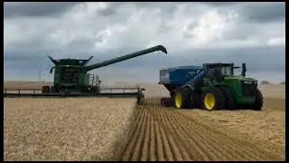 Welcome to texas #usa  #texas  #farming  #trending  #agriculture  #viralvideo  #shortvideo