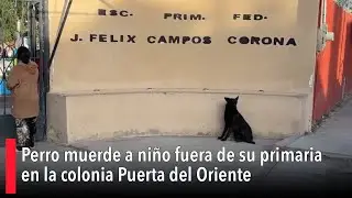 Perro muerde a niño fuera de su primaria en Saltillo; menor resulta con lesiones en una pierna